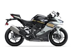 カワサキ　Ｎｉｎｊａ　ＺＸ−４Ｒ　ＳＥ