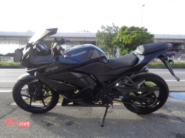 カワサキ Ｎｉｎｊａ　２５０Ｒ