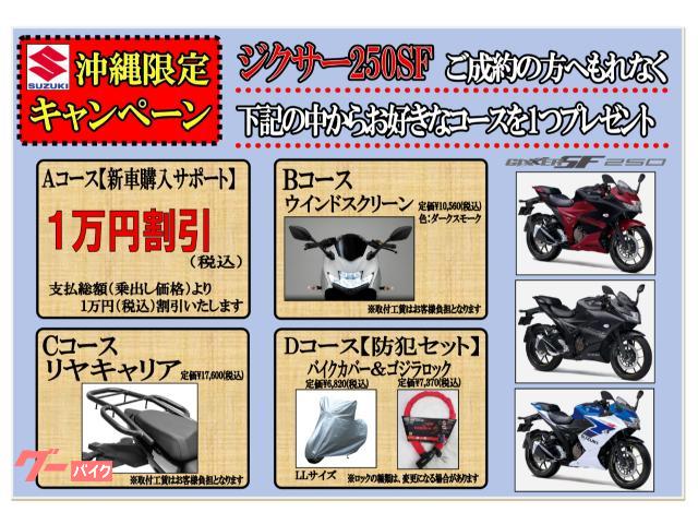 SUZUKI GSR250 白 期間限定値下げサマーセール 諸経費０円 始動確認済み 自賠責保険加入で乗れます 即納車有り 激安 横浜 都筑 宮前 スズキ GSX250R (各色アリ) 新車(注文販売) 250cc 自賠責保険
