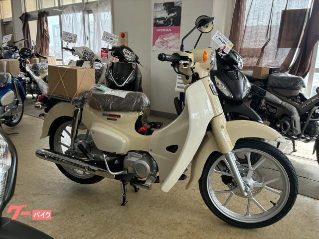 ホンダ（HONDA）1992年 Super Dio ZX・新登場のカタログ情報 | 沖縄の