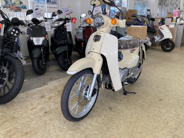 「ARS　他方は購入❌」ホンダスーパーカブ110 JA59 ARS 他方は購入❌」ホンダスーパーカブ110 JA59 ここが変わった