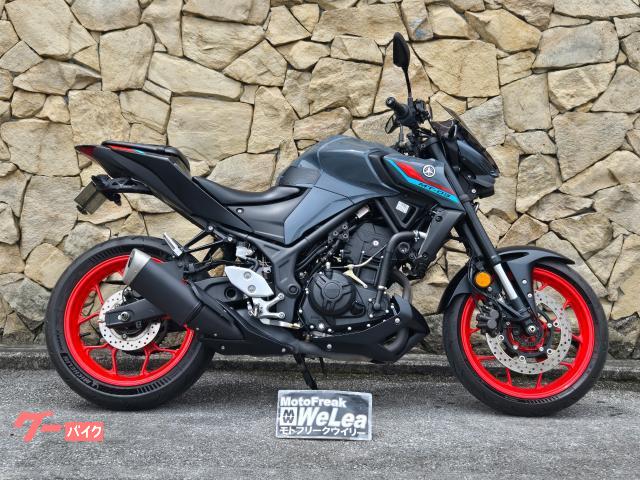 ヤマハ ＭＴ−０３（３２０ｃｃ）