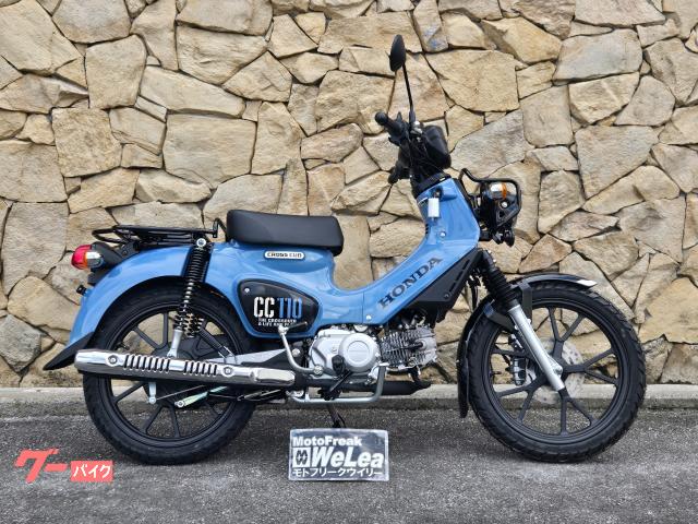 ホンダ（HONDA）1998年 Live Dio ZX・カラーチェンジのカタログ情報