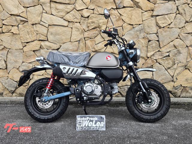 アマゾネス（AMAZONES）Esporte1600のカタログ情報 | 沖縄のバイクを