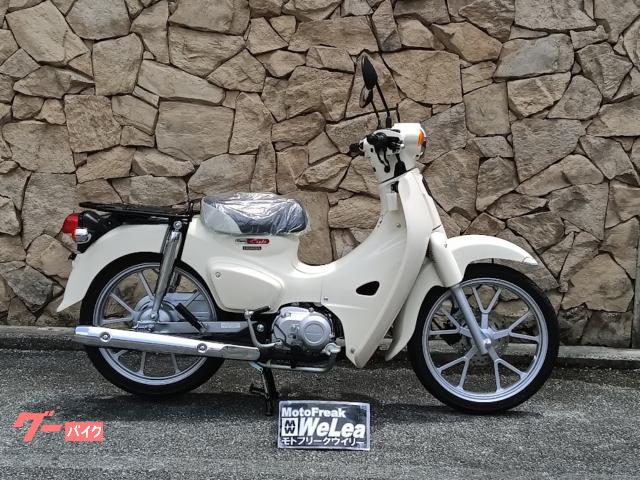 アマゾネス（AMAZONES）Esporte1600のカタログ情報 | 沖縄のバイクを
