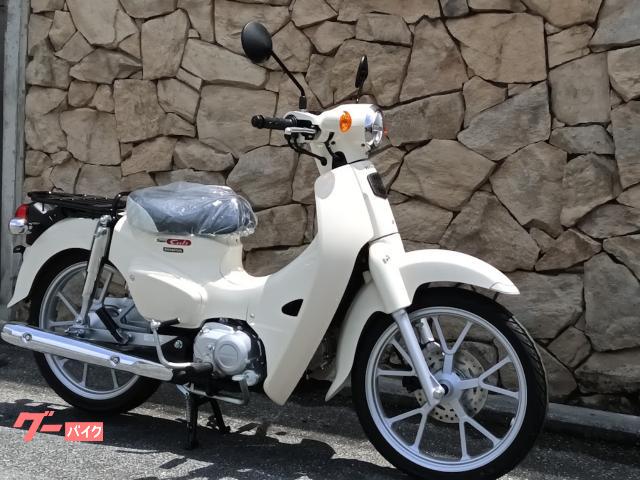 ホンダ スーパーカブ110 (パールホワイト) 新車(在庫あり) 110cc ホンダ スーパーカブ110 (パールホワイト) 新車(在庫あり) 110cc