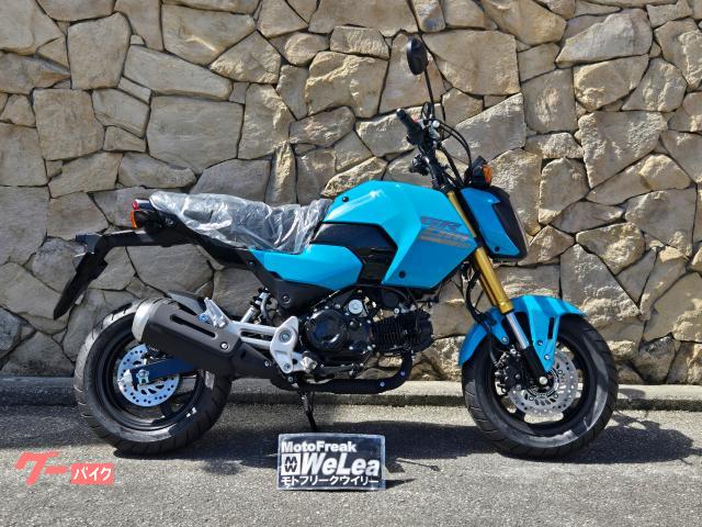 ヒョースン（HYOSUNG）2010年 GT250Rのカタログ情報 | 沖縄のバイクを