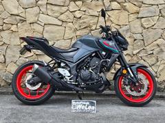 ヤマハ　ＭＴ−０３（３２０ｃｃ）