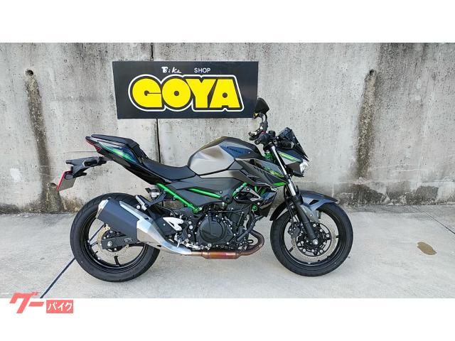 カワサキ（KAWASAKI）2019年 Ninja ZX-10R SE・マイナーチェンジの