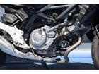 特にスズキの最新車種はいち早く入荷しますので、ご検討の方は必見です！