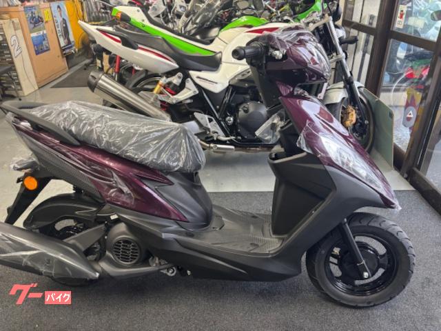 アマゾネス（AMAZONES）Esporte1600のカタログ情報 | 沖縄のバイクを