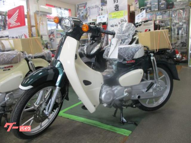 ホンダ（HONDA）1995年 CB750・カラーチェンジのカタログ情報 | 沖縄の