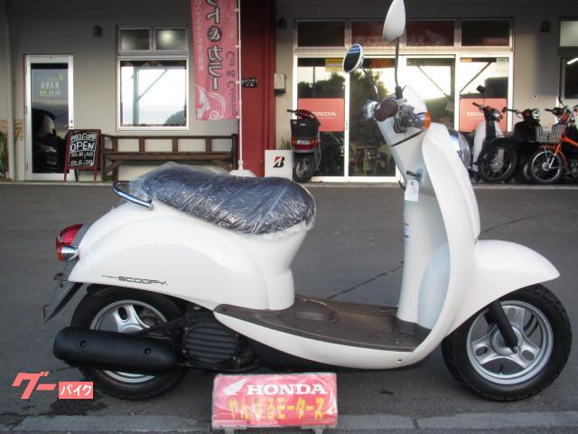 おしゃれで人気なスクーピーが、入荷しました おしゃれで人気なスクーピーが、入荷しました