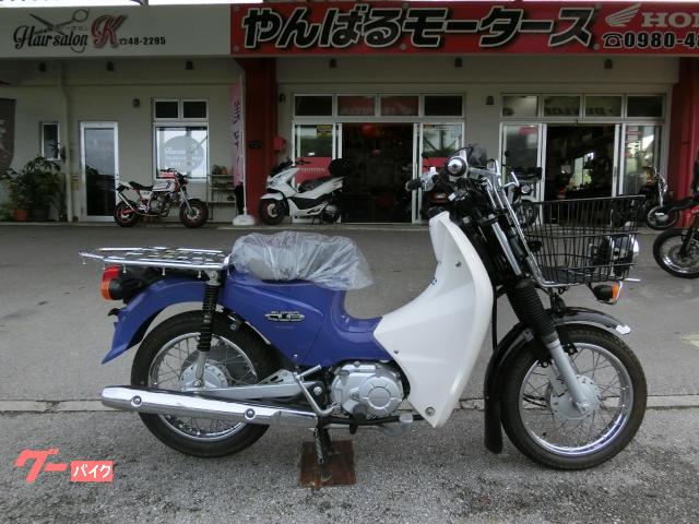 ホンダ スーパーカブ１１０プロ