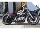 マフラー、エアクリ、ハンドル周り、Ｆフェンダーレス、Ｒショートフェンダー