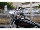 ハーレーから国産車まで買取強化中!