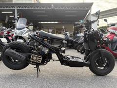 ホンダ　ズーマー