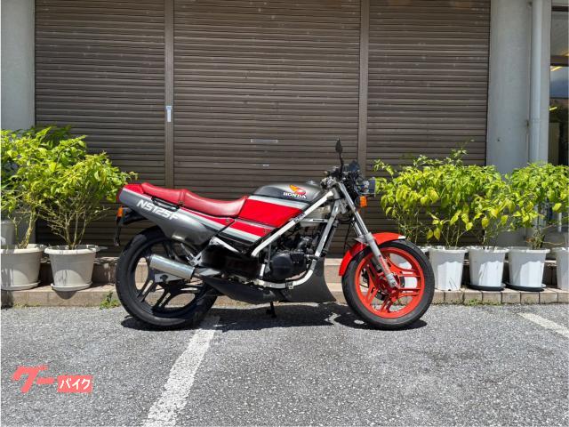 ＮＳ１２５Ｒ