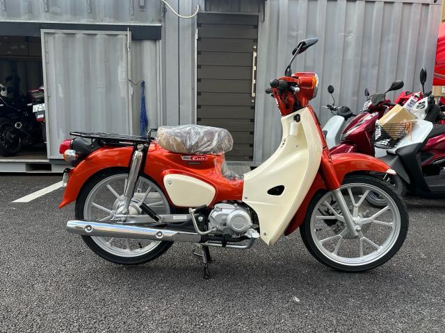 6310149B3023121400200.jpg