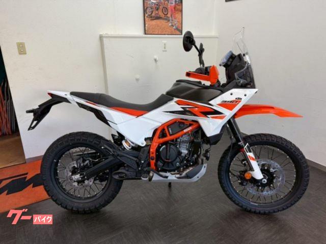 スネークモータース（SNAKE MOTORS）K-16 Sports（50）のカタログ情報