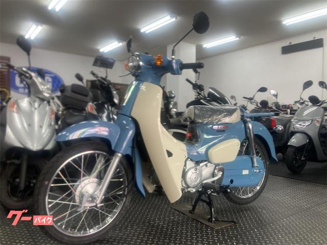 リアキャリア、チェーンケース、スイングアームにはボディー同色のボニーブルーを採用 リアキャリア、チェーンケース、スイングアームにはボディー同色のボニーブルーを採用