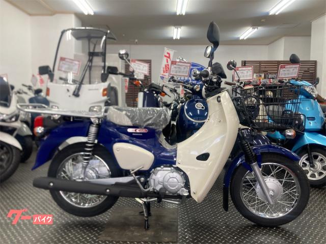 ホンダ（HONDA）1987年 VTZ250・新登場のカタログ情報 | 沖縄のバイク