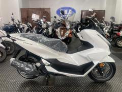 ホンダ　ＰＣＸ　新車　２０２５年度最新モデル　パールスノーフレークホワイト　ハンドルカバー　ＵＳＢ　ＴｙｐｅＣソケット　スマートキー