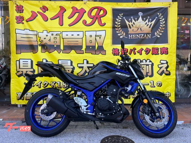 ＭＴ−２５　２０１８年モデル　社外レバー　エンジンスライダー