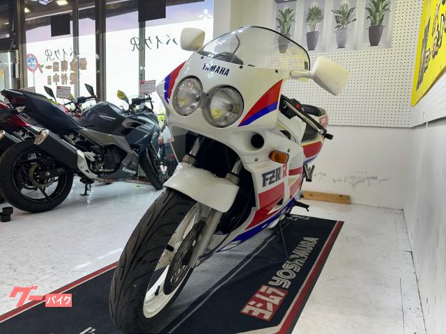 ヤマハ FZR250R 3LN型 1989年モデル 社外スリップ