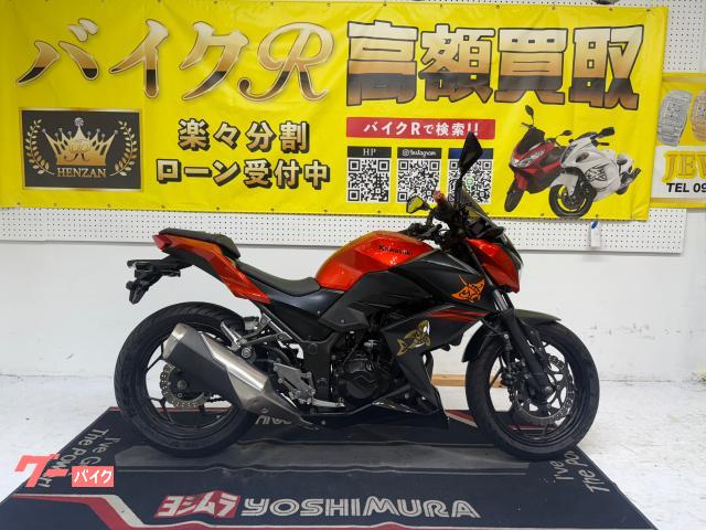 カワサキ Ｚ２５０　ＥＲ２５０Ｃ　２０１４年モデル　カーボンスクリーン　ローダウン　レバー　その他改造有