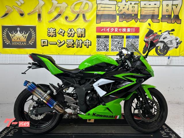 Ｎｉｎｊａ　２５０ＳＬ　ＢＸ２５０Ａ型　２０１５年モデル　ＢＭＳ−Ｒマフラー　Ｐｕｉｇスクリーン　ＥＴＣ　その他改造多数