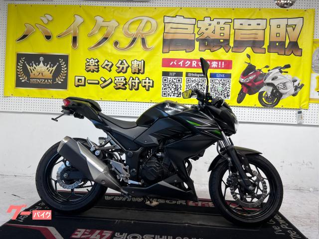 Ｚ２５０　ＥＲ２５０Ｃ型　２０１３年モデル　ＵＳＢポート