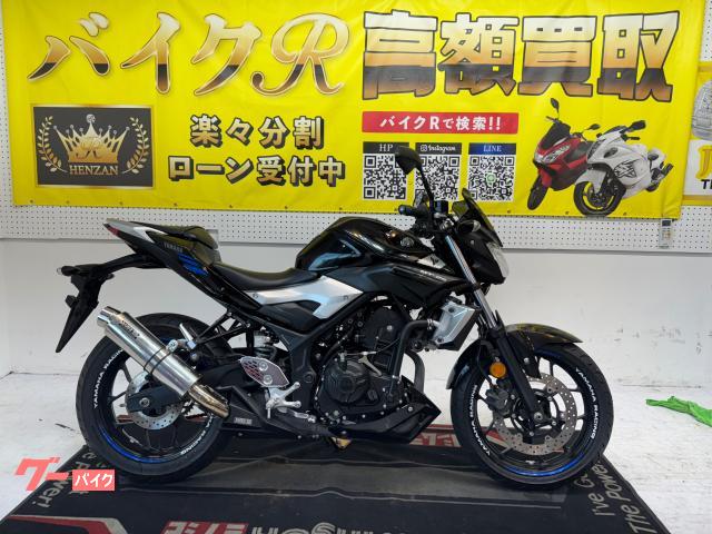 ヤマハ ＭＴ−２５　ＲＧ１０Ｊ型　２０１５年モデル　ｗｒ’ｓ製サイレンサー　社外バーエンド　社外スクリーン　その他改造有り物件画像