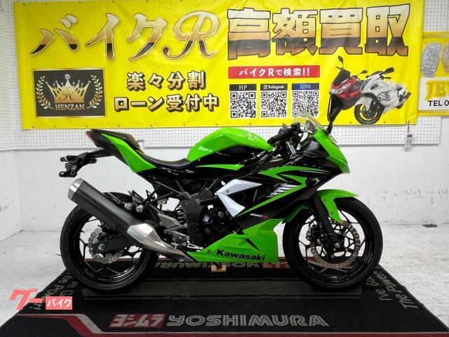 カワサキ Ｎｉｎｊａ　２５０ＳＬ　ＢＸ２５０Ａ型　２０１５年モデル　スクリーン　スペアキー　サイドスタンド　ＬＥＤライト物件画像