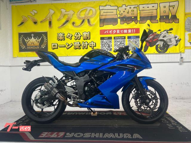 カワサキ Ｎｉｎｊａ　２５０ＳＬ　ＢＸ２５０Ａ型　２０１６モデル