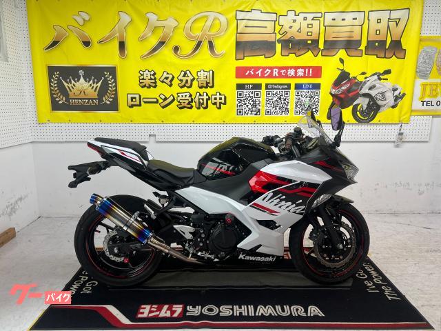 カワサキ Ｎｉｎｊａ　２５０　ＥＸ２５０Ｐ型　２０１９年モデル　スリップオンマフラー　エンジンスライダー　社外レバー
