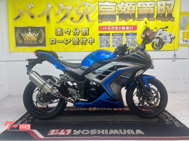 Ｎｉｎｊａ　２５０　ＥＸ２５０Ｌ型　２０１６年モデル　Ｇスライダー　マルチバー　ＵＳＢポート　レバー　マフラー