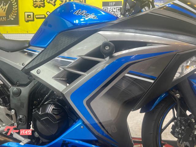 904青人ページ　　20枚 カワサキ Ninja 250 EX250L型 2016年モデル G