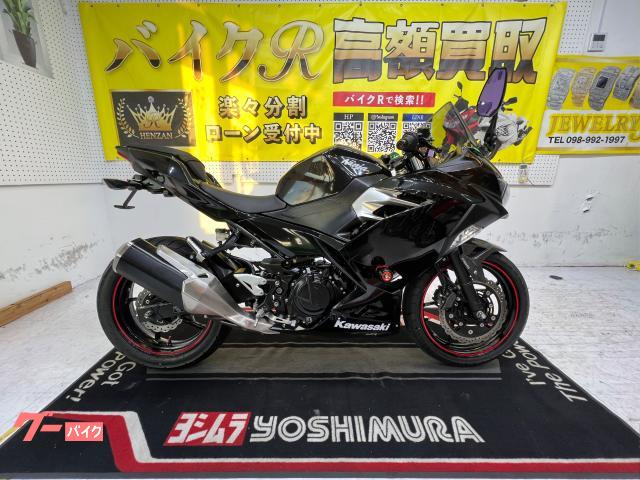 カワサキ Ｎｉｎｊａ　２５０　ＥＸ２５０Ｐ型　２０１９年モデル　スライダー　スペアキー　ＬＥＤライト　社外ミラー　タンクパットフェンダーレス