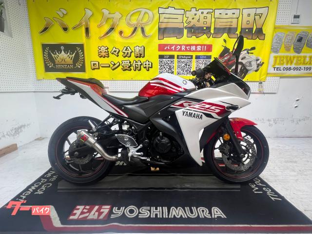 ＹＺＦ−Ｒ２５　ＲＧ１０Ｊ型　２０１５年モデル　社外マフラー　フェンダーレス　社外レバー　社外スクリーン