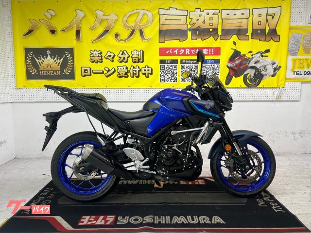 ヤマハ（YAMAHA）1989年 FZR250R・カラーチェンジのカタログ情報