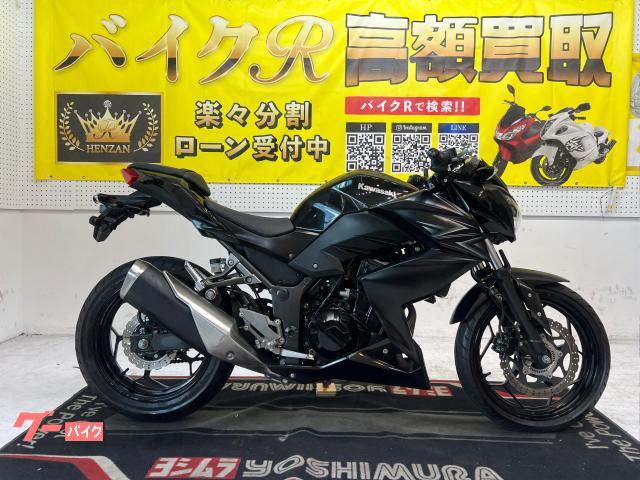 カワサキ（KAWASAKI）2009年 Ninja ZX-14のカタログ情報 | 沖縄の