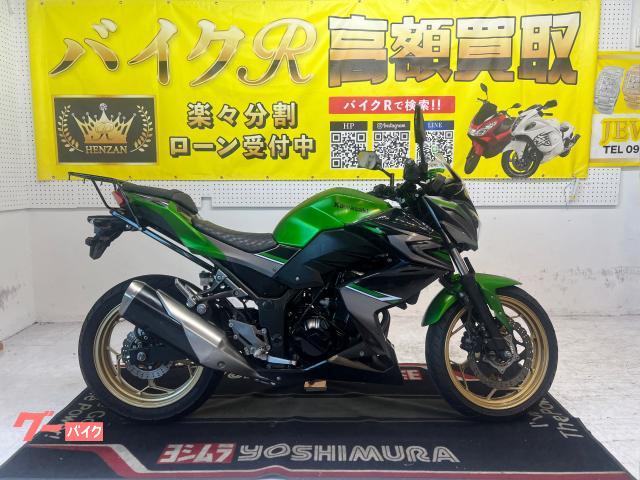 カワサキ（KAWASAKI）2006年 Ninja ZX-14・新登場のカタログ情報