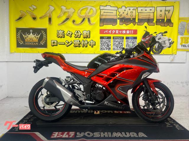 カワサキ Ｎｉｎｊａ　２５０スペシャルエディション　ＥＸ２５０Ｌ型　２０１４年モデル　社外スマホホルダー　社外スクリーン　エンブレム