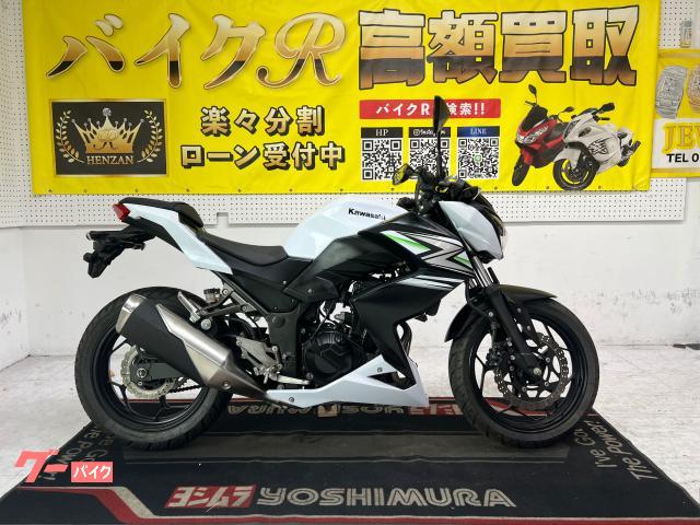 カワサキ（KAWASAKI）1995年 ZXR250のカタログ情報 | 沖縄のバイクを