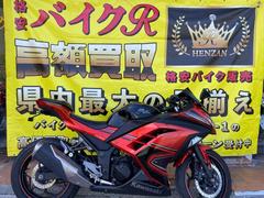 カワサキ　Ｎｉｎｊａ　２５０ＳＥ　２０１４年モデル　社外レバー　スクリーン