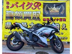 カワサキ　Ｎｉｎｊａ　２５０　スペシャルエディション　ＥＸ２５０Ｌ型　２０１４年モデル　ＡＢＳ　社外レバー　ハンドルエンド　クランプホルダー