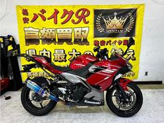 カワサキ　Ｎｉｎｊａ　２５０　ＡＢＳ　２０２２年モデル　社外エンジンスライダー　社外スクリーン　ＥＴＣ２．０