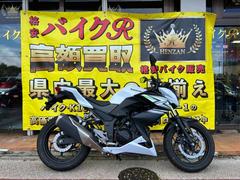 カワサキ 沖縄県の126～250ccのバイク一覧｜新車・中古バイクなら【グーバイク】