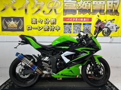 カワサキ　Ｎｉｎｊａ　２５０ＳＬ　ＢＸ２５０Ａ型　２０１５年モデル　ＢＭＳ−Ｒマフラー　Ｐｕｉｇスクリーン　ＥＴＣ　その他改造多数